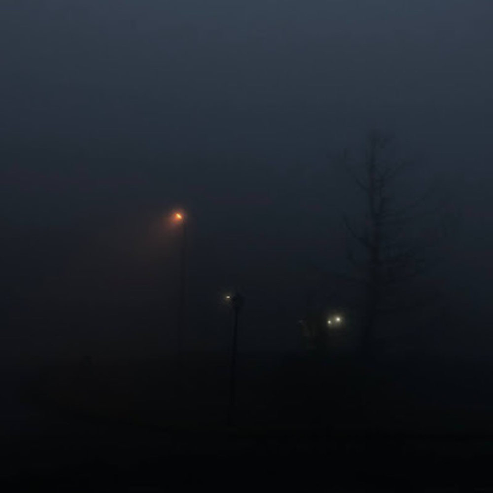 Meet your Posher, Mia